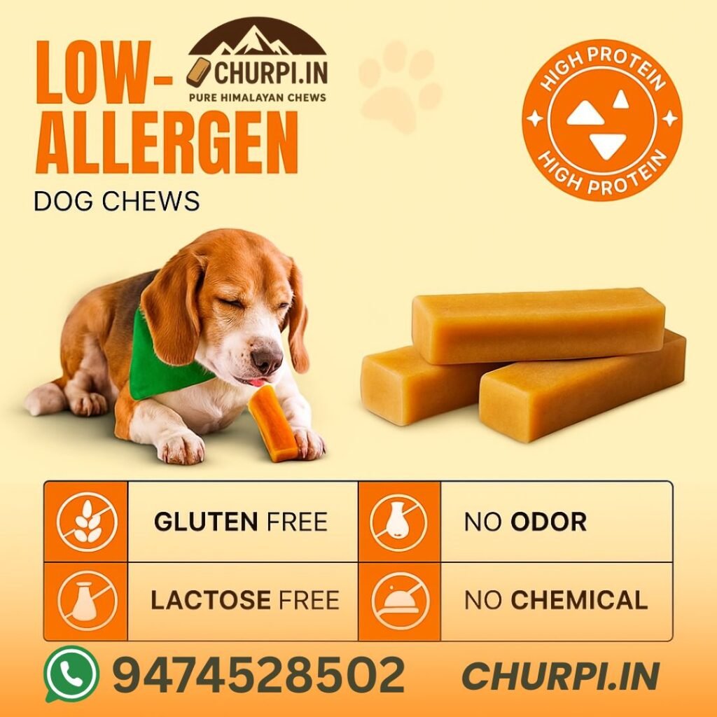 Dog Chews are low allergen