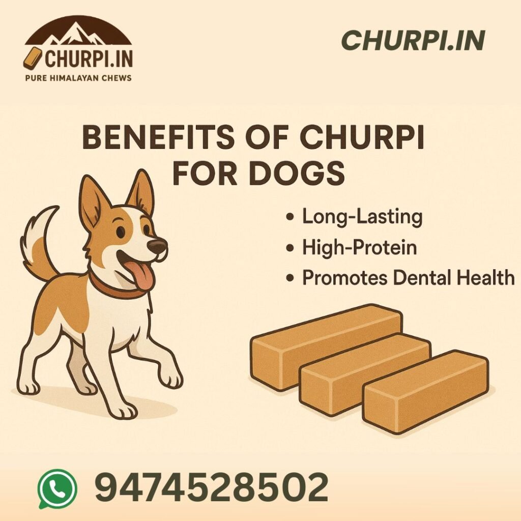benefits of churpi for dogs